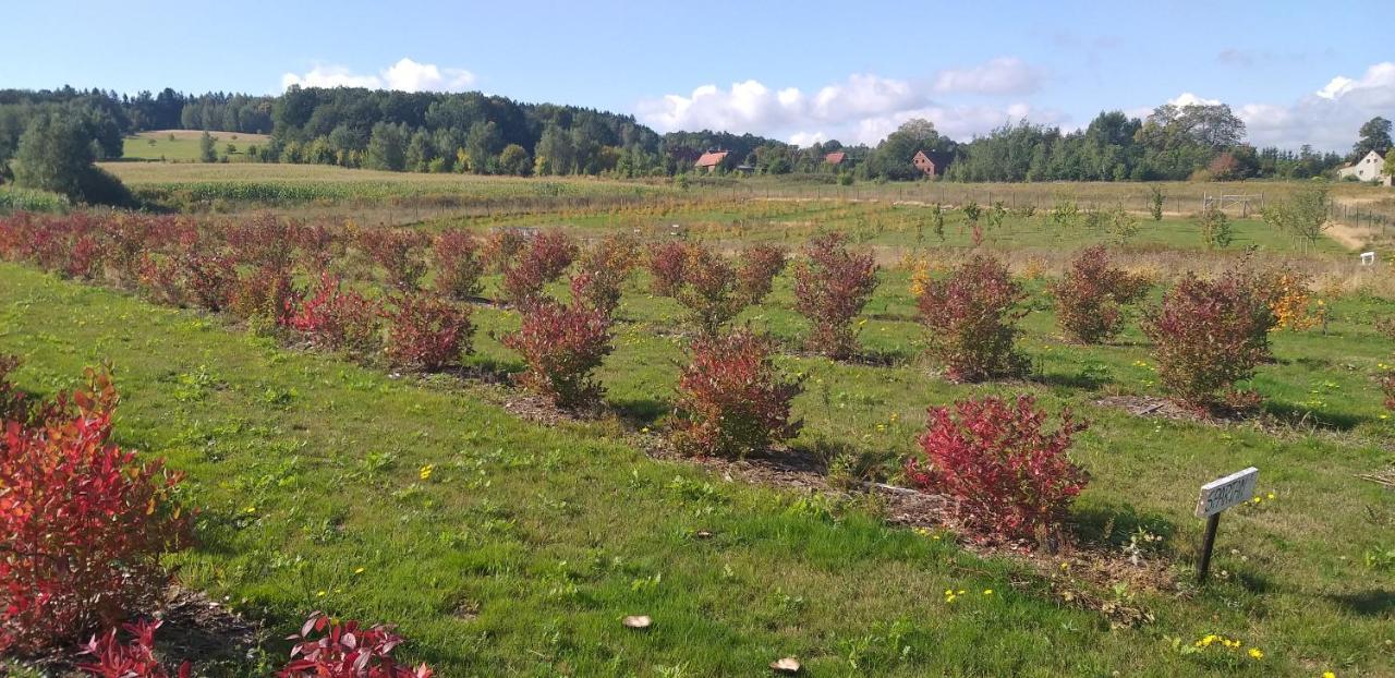 E Berry Farm - Slow Life Kaluzna Экстерьер фото