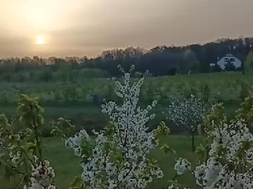 E Berry Farm - Slow Life Kaluzna Экстерьер фото